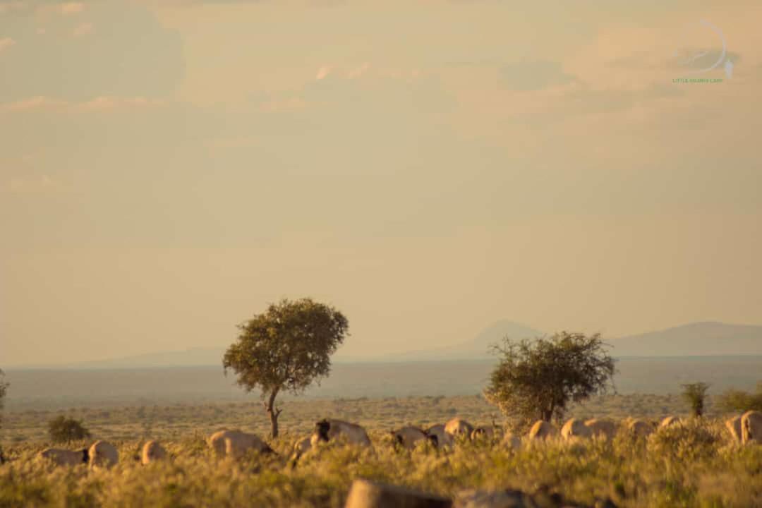 Amanya 3-Bedroom Hut Amboseli Zewnętrze zdjęcie